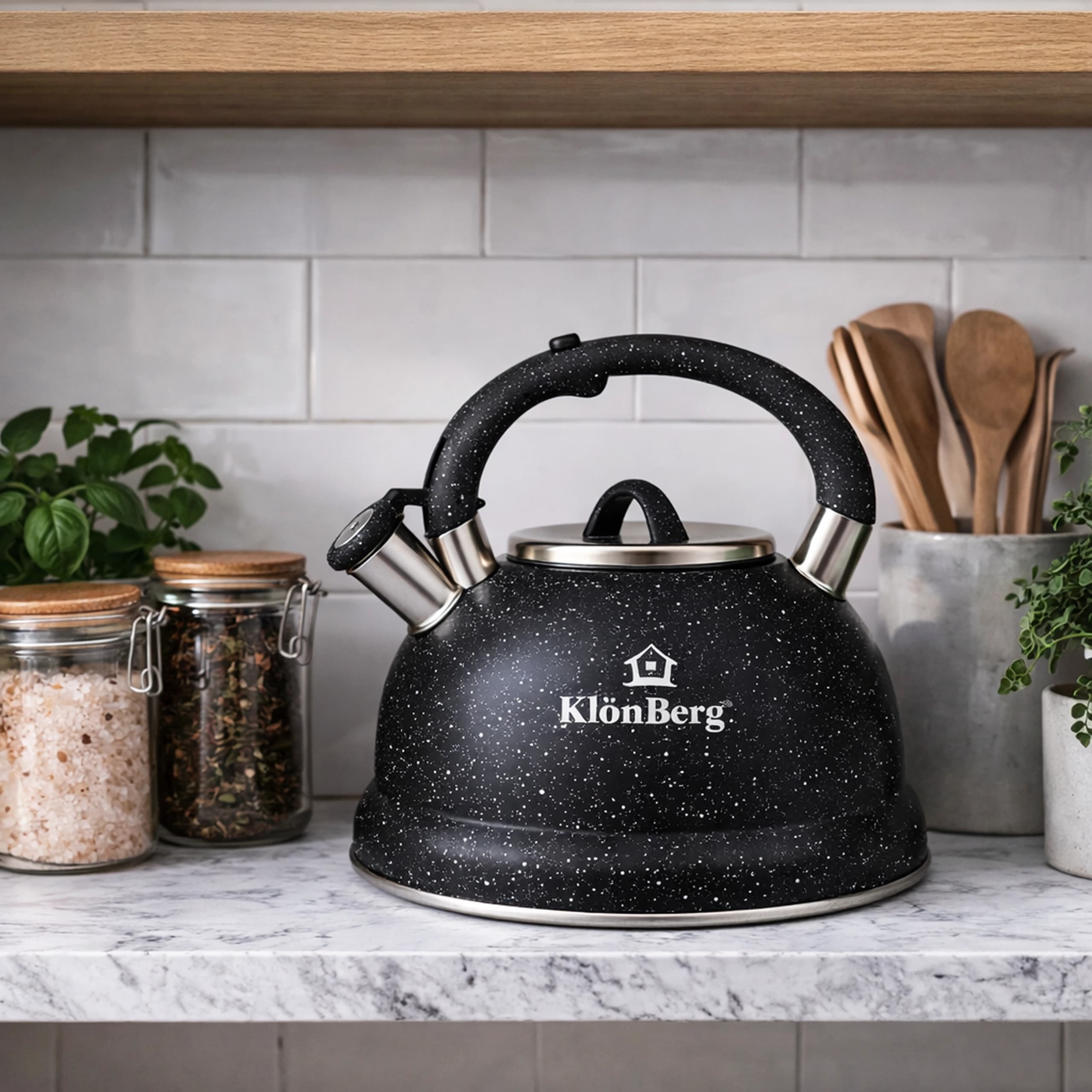 products.photoOf Whistling Kettle 3L Stainless Steel Gas and Induction Black KB-6647