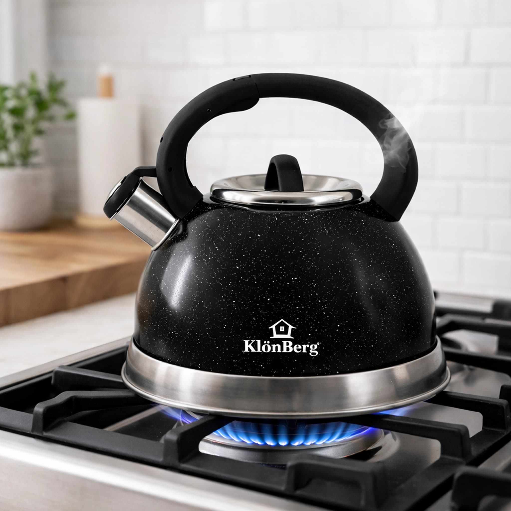 products.photoOf Whistling Tea Kettle 3L Stainless Steel Induction Black