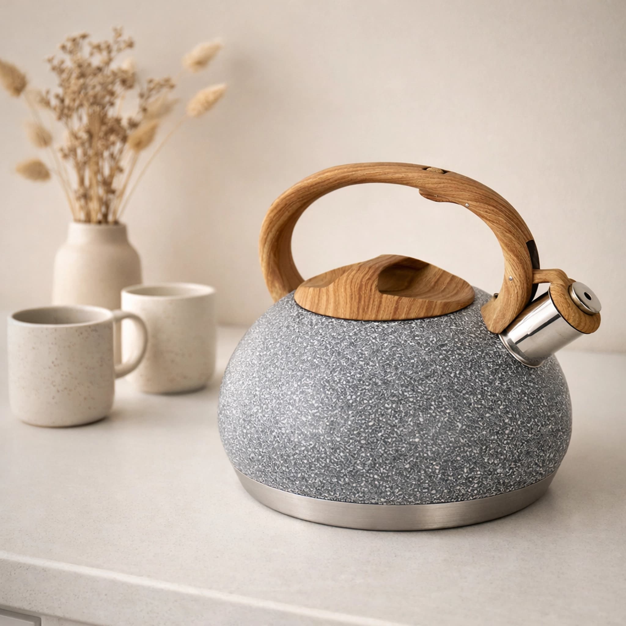 products.photoOf Stainless Steel Whistling Kettle 3L Grey for Induction KB-6608